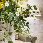 C'era Volta Bed & Breakfast Alberobello