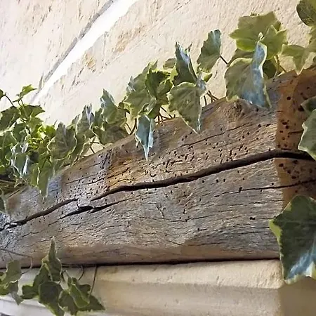 Nocleg ze śniadaniem C'era Volta Alberobello